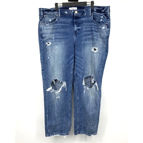 Lane Bryant Jeans Blue Distressed Denim Straight - Picture 1 of 9